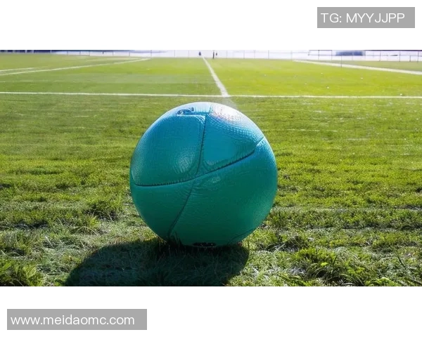 足球之心：球场英雄背后的激情与挑战